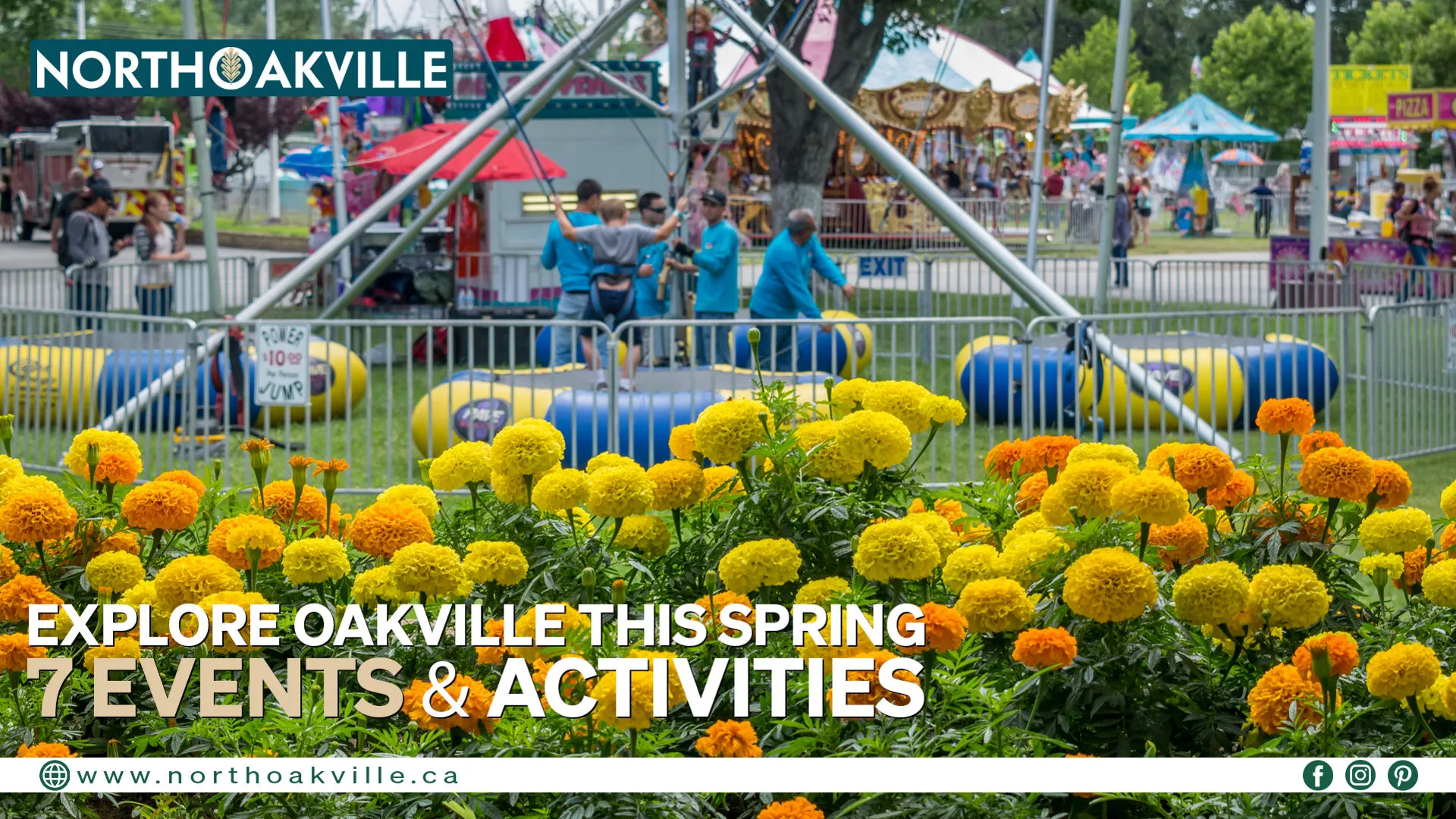 Spring festival in Oakville with bright marigolds, amusement rides, and people enjoying activities. Promoted by North Oakville with a website and social media links, featuring 7 events this spring.